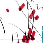 Baked Beans – Baked Beans CD (Downtempo)