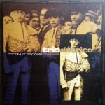 Trio Elétrico – Coconut Groove (Remixes) 12'' Maxi Single Plak (Future Jazz)