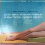 Annette – Annette At Bikini Beach LP Plak - Görsel 2