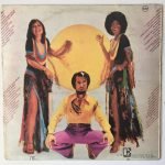 Sergio Mendes LP Plak - Görsel 2