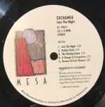 Exchange – Into The Night LP Plak - Görsel 3
