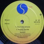 Shake EP 10" Single Plak - Görsel 3
