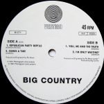 Big Country – Republican Party Reptile EP 10" Single Plak - Görsel 3