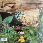 Lagoss – Música Imaginaria De Las Islas Vol. 2: Ascensión LP Plak (Ambient) - Görsel 2