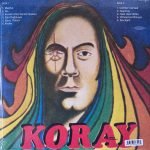 Erkin Koray – Meçhul: Singles & Rarities LP Plak - Görsel 2