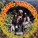 Israel Vibration - Strength Of My Life LP Plak
