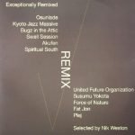 Exceptionally Remixed 2LP Plak (Future Jazz)