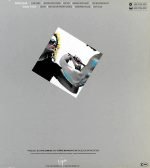 Endgames – Building Beauty LP Plak - Görsel 2