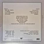 Litfiba – Desaparecido LP Renkli Plak - Görsel 2
