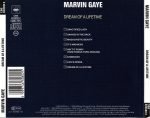 Marvin Gaye – Dream Of A Lifetime CD - Görsel 2