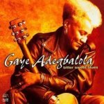 Gaye Adegbalola – Bitter Sweet Blues CD