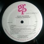 Dave Valentin – Jungle Garden LP Plak - Görsel 5