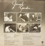 Dave Valentin – Jungle Garden LP Plak - Görsel 4