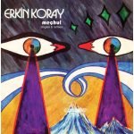 Erkin Koray – Meçhul: Singles & Rarities LP Plak