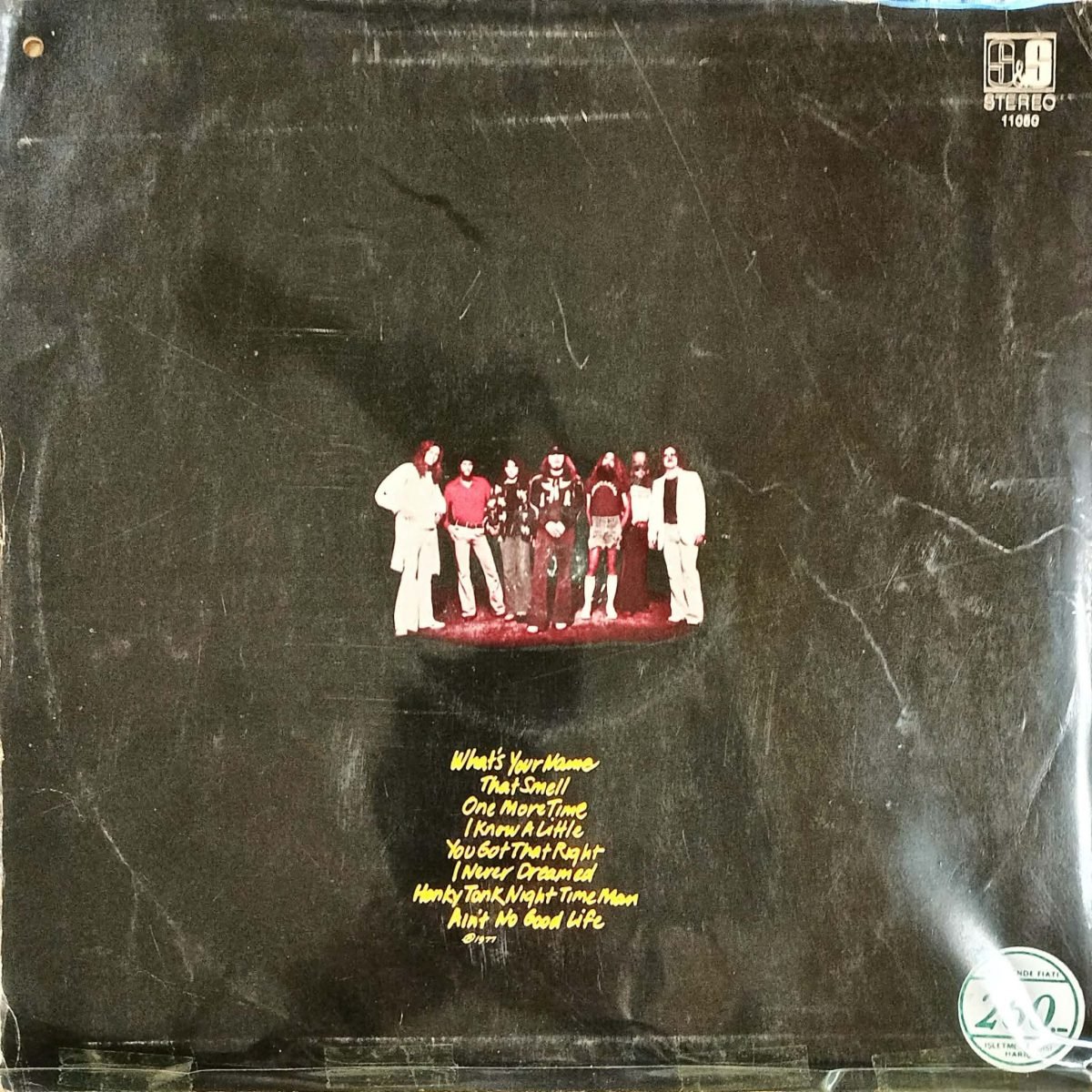 Lynyrd Skynyrd – Street Survivors LP Plak - Görsel 2