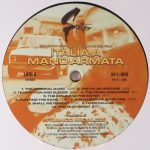 Franco Micalizzi – Italia A Mano Armata LP Plak - Görsel 3