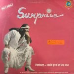 Surprise – Fantasy... Could You Be The One 12" Maxi Single Plakv - Görsel 2