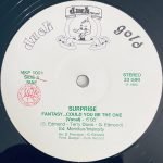 Surprise – Fantasy... Could You Be The One 12" Maxi Single Plakv - Görsel 3
