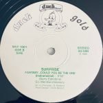 Surprise – Fantasy... Could You Be The One 12" Maxi Single Plakv - Görsel 4