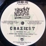 Naughty By Nature – Craziest / Holdin' Fort 12" Maxi Single Plak