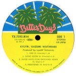 Kazumi Watanabe – Kylyn LP Plak - Görsel 5