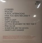 Pulp – His 'N' Hers 2LP Plak - Görsel 2