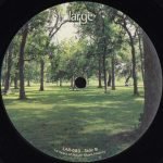 Julius Papp – Salvation EP 12" Maxi Single Plak (Deep House) - Görsel 2
