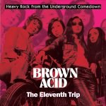 Brown Acid: The Eleventh Trip (Heavy Rock From the Underground Comedown) LP Plak