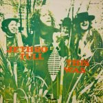Jethro Tull – This Was LP Plak - Görsel 2
