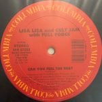 Lisa Lisa And Cult Jam With Full Force – I Wonder If I Take You Home / Can You Feel The Beat 12" Maxi Single Plak