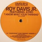 Roy Davis Jr. Featuring: Ayro – I Know What Your Thinking 12" Maxi Single Plak