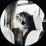 Porcupine Tree – In Absentia 2LP Plak - Görsel 5