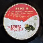 The Lovers – All You Need LP Plak - Görsel 4