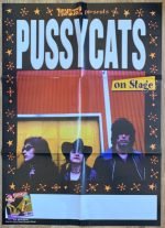 Pussycats – Rock On! LP Renkli Plak - Görsel 4