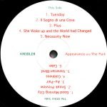 Kreidler – Appearance And The Park LP Plak - Görsel 3