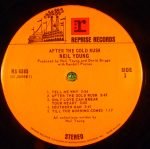 Neil Young – After The Gold Rush LP Plak - Görsel 3