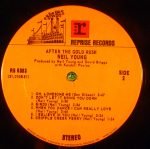 Neil Young – After The Gold Rush LP Plak - Görsel 4