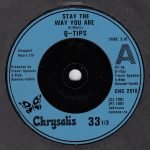 Q-Tips – Stay The Way You Are 45lik Plak - Görsel 3