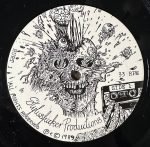 Extreme Noise Terror – A Holocaust In Your Head LP Plak - Görsel 3