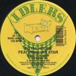 Royal House Featuring Ian Star – A Better Way 12'' Maxi Single Plak (Early House) - Görsel 2