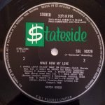 Mitch Ryder – What Now My Love LP Plak - Görsel 3