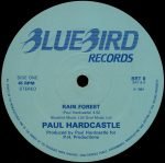 Paul Hardcastle – Rain Forest 12" Maxi Single Plak - Görsel 3