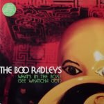 The Boo Radleys – What's In The Box? (See Whatcha Got) 45lik Plak