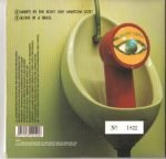 The Boo Radleys – What's In The Box? (See Whatcha Got) 45lik Plak - Görsel 2