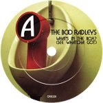The Boo Radleys – What's In The Box? (See Whatcha Got) 45lik Plak - Görsel 3