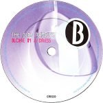 The Boo Radleys – What's In The Box? (See Whatcha Got) 45lik Plak - Görsel 4