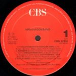 Nina Hagen Band ‎LP Plak - Görsel 3