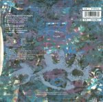 All About Eve – Wild Hearted Woman 45lik Plak - Görsel 2