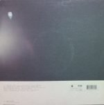 Femi Kuti – Truth Don Die 10" Maxi Single Plak (House) - Görsel 2