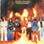 Lynyrd Skynyrd – Street Survivors LP Plak